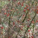 실로암농장 이미지