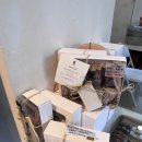 광주농장 | 경기 광주 느좋 바치케 맛집 감성 카페 유칼립투스농장 후기