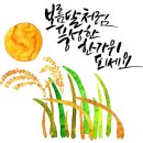 한아람초등학교 이미지