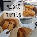 새쟁이꽈배기 이미지
