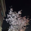 하동우렁추어탕 미아점 이미지