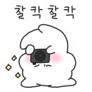 예쁠연뷰티 이미지