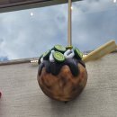 김밥마을 | 나뭇잎마을,동면식밀면,바다손김밥,우사기 포장 내돈내산 솔직후기