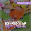 기찻길작은도서관 이미지