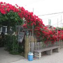 야촌원두막 이미지