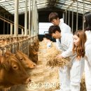 연암농장 이미지