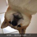 나이스병원 이미지