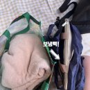 자판기나라 | 미야코지마 여행 준비물 (feat.렌탈자판기 고프로 내돈내산)
