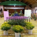 솔안초등학교 이미지