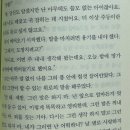나의라임오렌지나무 | 제제와 밍기뉴와 뽀르뚜가 [나의 라임오렌지나무 후기]