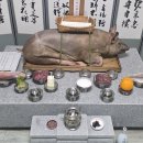 이호동오도마을회 이미지