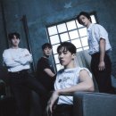 하이라이트 카카오 검색결과