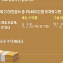 꿀팁에빠지다