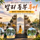발리정원 티스토리