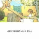시소