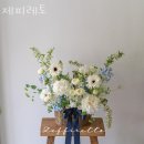 내손동 우체국 | 내손동꽃집 제피레토 가격 위치 영업시간
