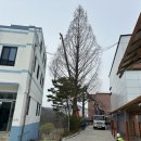 원주조경공사 네이버블로그