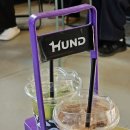 카페훈트 | [HUND] 화성 유기견 입양 카페 훈트 (후기)