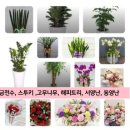 마음드림꽃배달