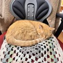 원천중학교 이미지