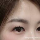 라비에래쉬 네이버블로그