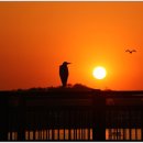 <경계에 서다> 이미지