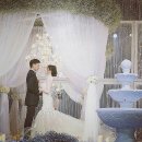 신주아 카카오 검색결과