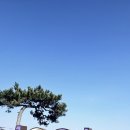 보랏빛민박 | 전남 신안 퍼플섬 반월도 여행 추천 — 보라빛 섬 퍼플교 입장료·가는길·포토존 총정리