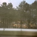 동두천자연휴양림 | 동두천 자연휴양림 휴양관 후기 일요일 1박2일