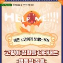 너와나동물병원 네이버블로그