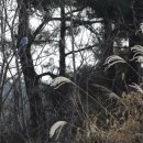 사철농장 이미지