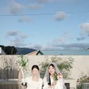 스테이 시래 이미지