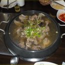 한울체 Daum카페