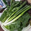 홍순덕전포양곱창 | 서면양곱창 맛집 ㅣ 서면전포양곱창 솔직후기 부산양곱창 제대로 먹고 온 날