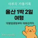 새울산다운유치원 | 울산 1박 2일 가족여행 코스 추천｜대왕암공원·고래박물관·태화강 국가정원 후기