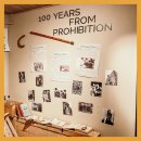 Well Med(웰메드) | 식물원부터 이색 박물관까지, 크로아티아 자그레브 뚜벅이 코스