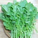 열무김치 이미지