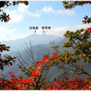 봉일천2리 이미지