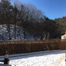 한터초등학교 이미지