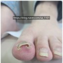 웃는세상의원 이미지