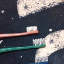 올쏘플러스 이미지