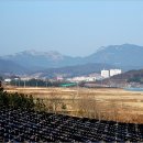 곡성-270 Daum카페
