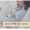 화도중기 이미지