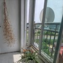 삼진부동산공인중개사사무소 네이버블로그