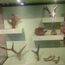 약령시한의약박물관 이미지