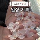 [24년 1분기 dump] 부지런한데 게으른 일상 기록