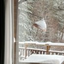 서나와 할아버지 통나무집 이미지