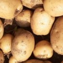 산우물농장 이미지