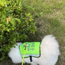 신명치과의원 이미지