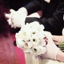 홍연남북결혼 이미지